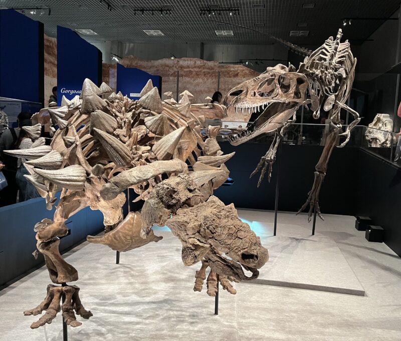 ズールvsゴルゴサウルス画像